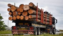 flatbed truck