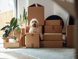 house moving 1